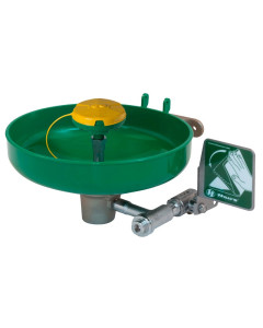 AXION® MSR Wall Mount Eye/Face Wash