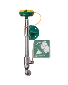 AXION® MSR Wall Mount Eye/Face Wash