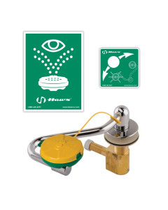 AXION® MSR Sink Mount Eye/Face Wash