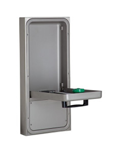 AXION® MSR Wheelchair Accessible Surface Mount Eye/Face Wash 