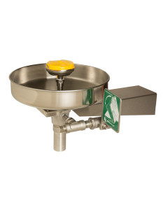 AXION® MSR Corrosion Resistant Wall Mount Eye/Face Wash