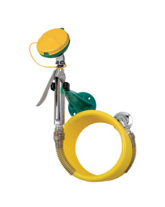 AXION® MSR Wall Mount Eye/Face Wash