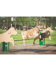 Natural Color Scheme Rover Jump Over