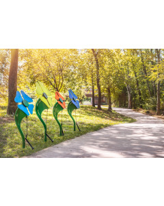 Flower Collection (In Ground)