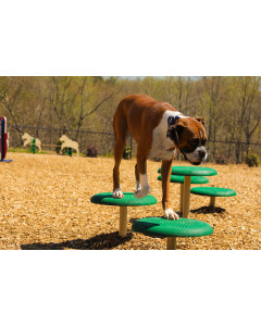 BarkPark STEPPING PAWS- Natural Colors