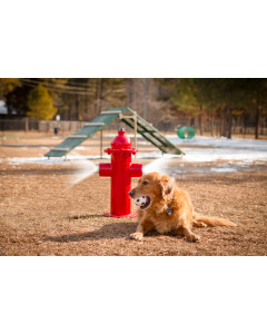 FIRE HYDRANT - Misting Fire Hydrant
