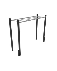 ActionFit Overhead Ladder